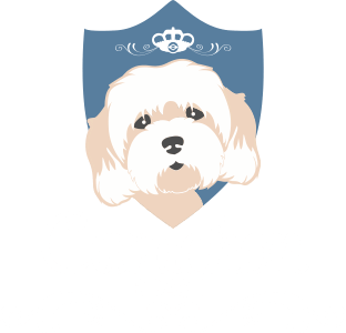 cavachon brasil logo
