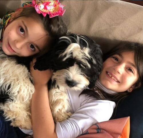 meninas e cavachon toddy